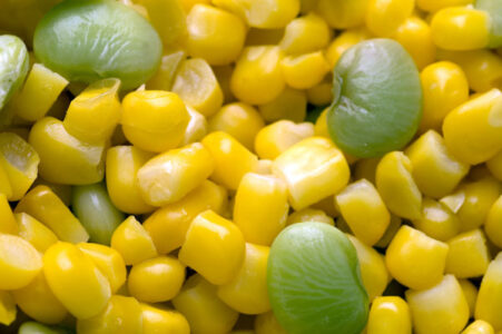 Canning Succotash Image